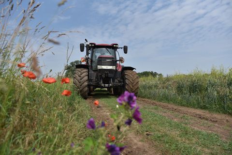 Das große Ziel ist es, den Artenschutz zu verbessern und diesen in Einklang zu bringen mit einer wettbewerbsfähigen Landwirtscha