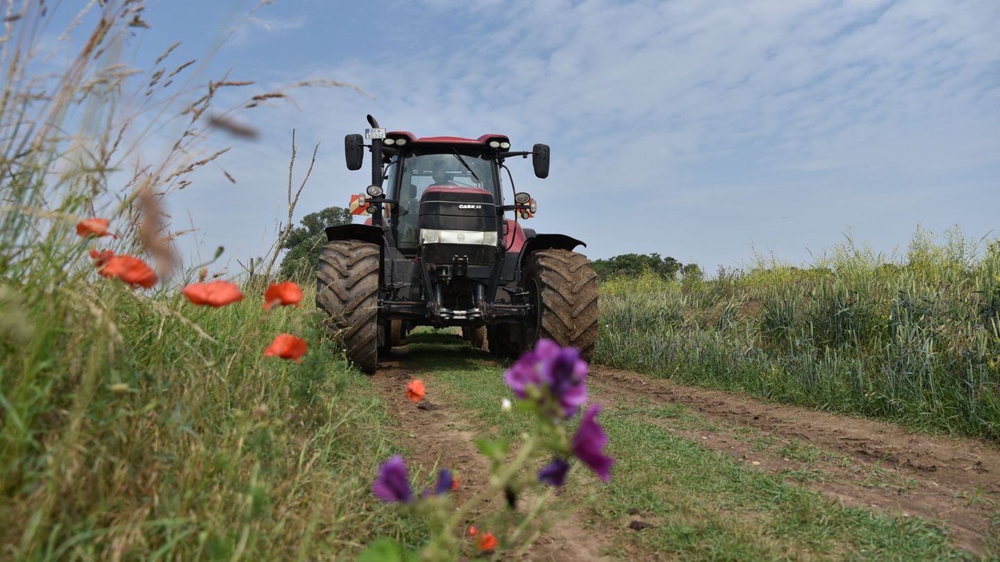 Das große Ziel ist es, den Artenschutz zu verbessern und diesen in Einklang zu bringen mit einer wettbewerbsfähigen Landwirtscha