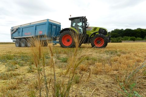 Traktor auf einem Feld