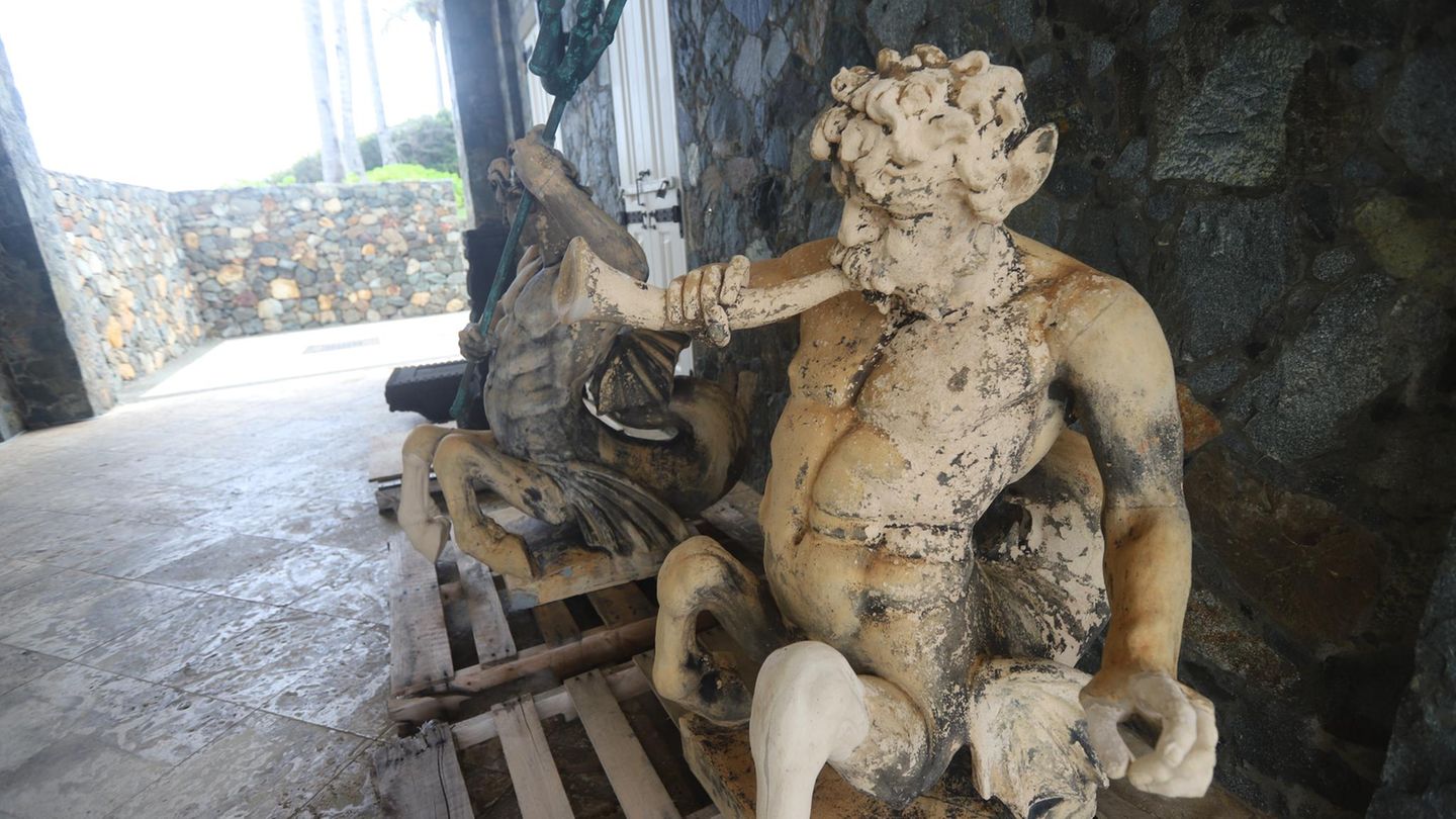 Auch mehrere Fotos von solchen Statuen befinden sich in den Dateien, die die Demokraten im Aufsichtsausschuss des Repräsentantenhauses veröffentlichten