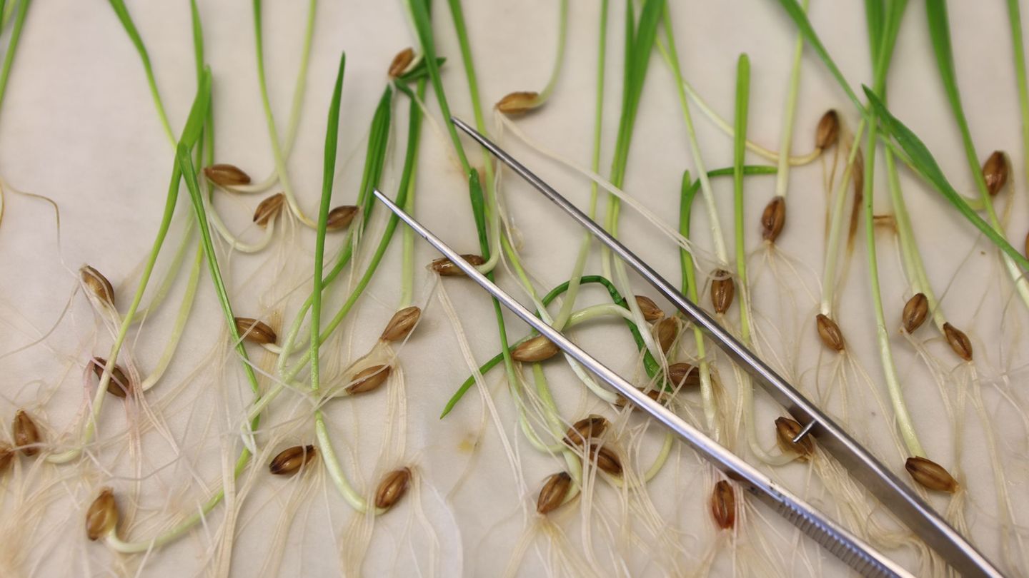 Die neuen Vorgaben müssen noch vom EU-Parlament und den EU-Staaten bestätigt werden. Normalerweise ist das Formsache, wenn sich