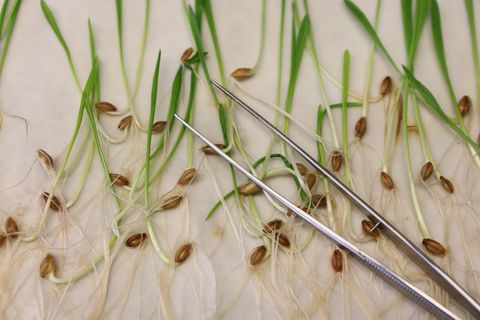 Die neuen Vorgaben müssen noch vom EU-Parlament und den EU-Staaten bestätigt werden. Normalerweise ist das Formsache, wenn sich