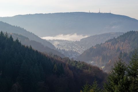 Frühnebel bedeckt das Neckartal am Königstuhl. Am Donnerstag ist es laut dem Deutschen Wetterdienst meist dicht bewölkt. (Archiv