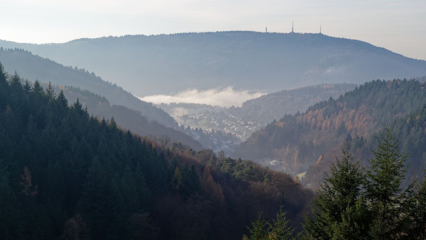 Frühnebel bedeckt das Neckartal am Königstuhl. Am Donnerstag ist es laut dem Deutschen Wetterdienst meist dicht bewölkt. (Archiv