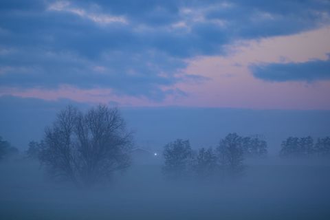 In Berlin und Brandenburg ist in der Nacht zum Freitag örtlich mit Nebel zu rechnen. (Symbolbild) Foto: Patrick Pleul/dpa