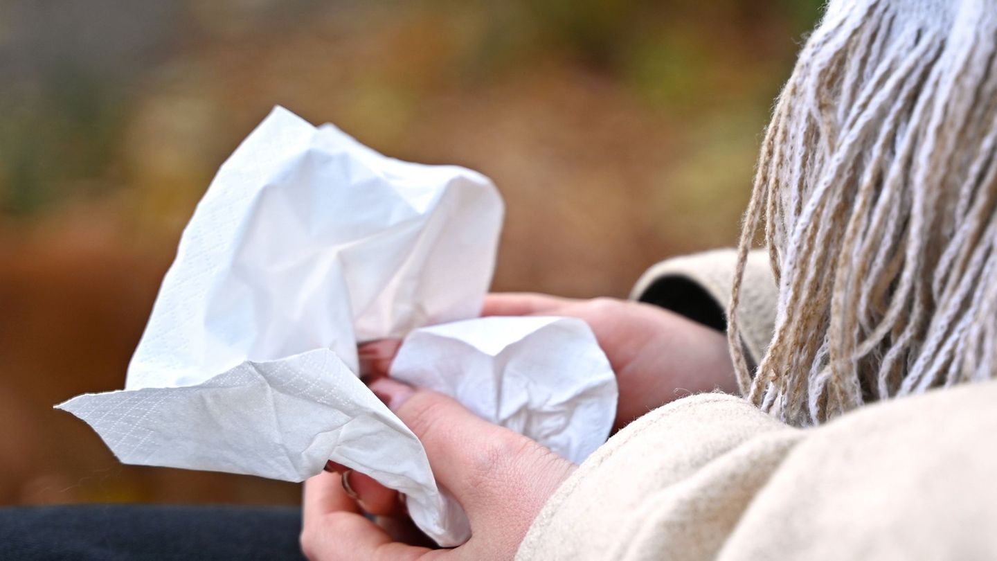Jetzt brauchen viele Menschen wieder Taschentücher für die laufende Nase. (Symbolbild) Foto: Elisa Schu/dpa