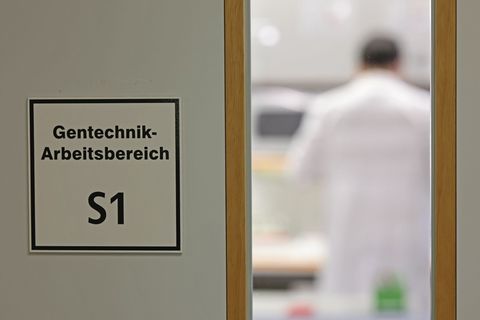 Befürworter erhoffen sich Obst- und Gemüsesorten, die ertragreicher, resistenter gegen den Klimawandel und nährstoffreicher sind