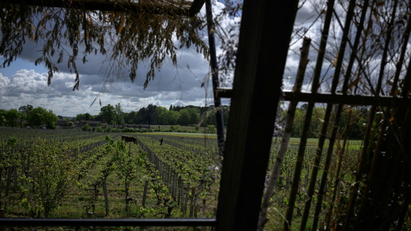 Weingut in der Gegend von Bordeaux