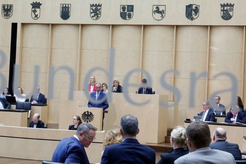 Merz im Bundesrat