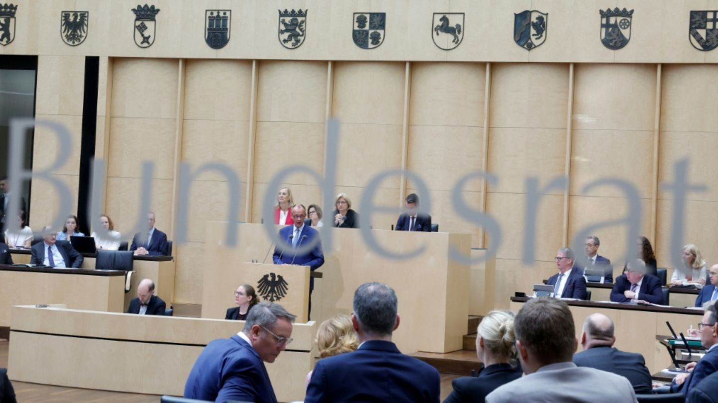 Merz im Bundesrat