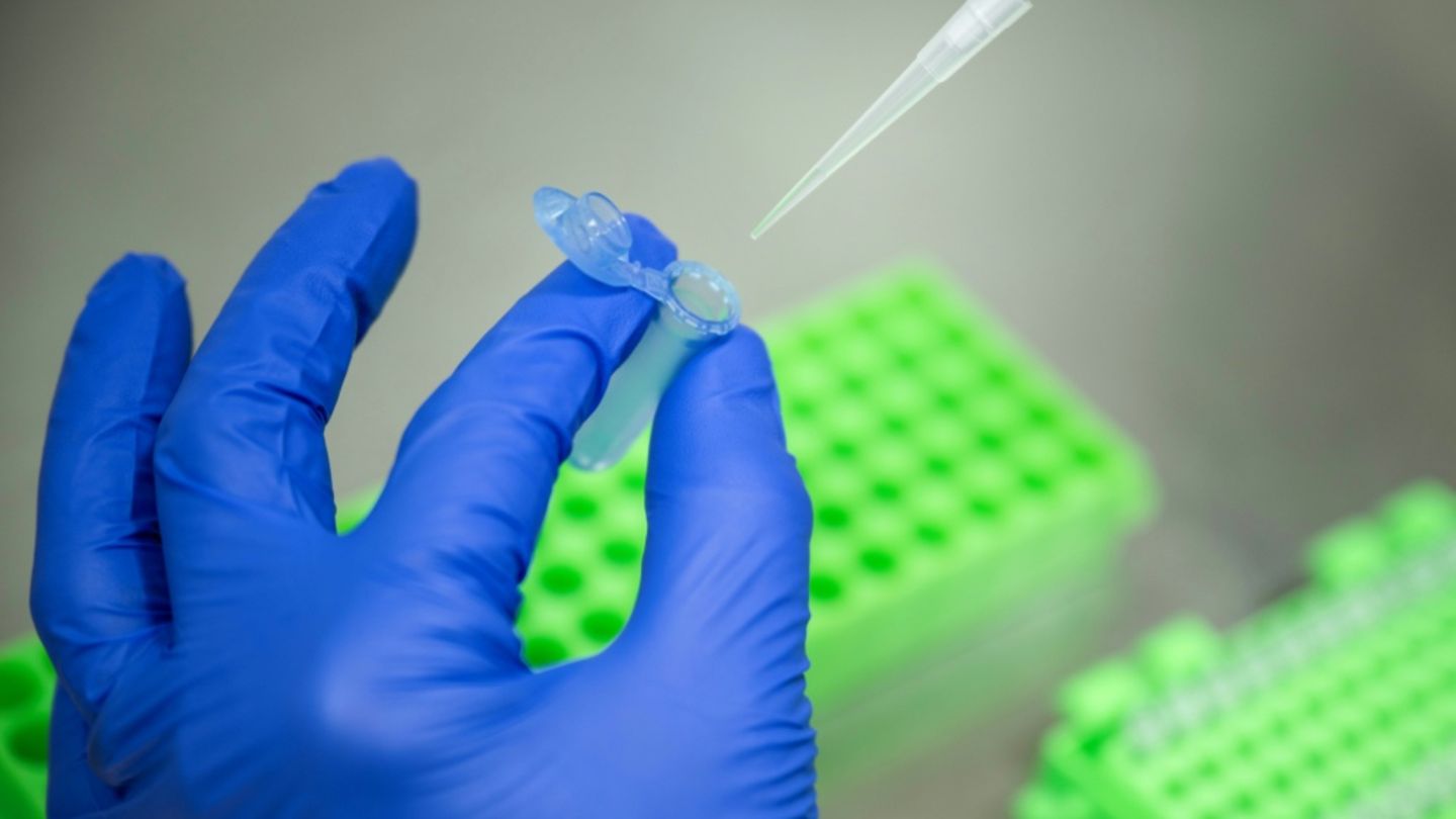 EU will Regeln für neue gentechnische Verfahren lockern