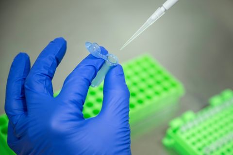 EU will Regeln für neue gentechnische Verfahren lockern