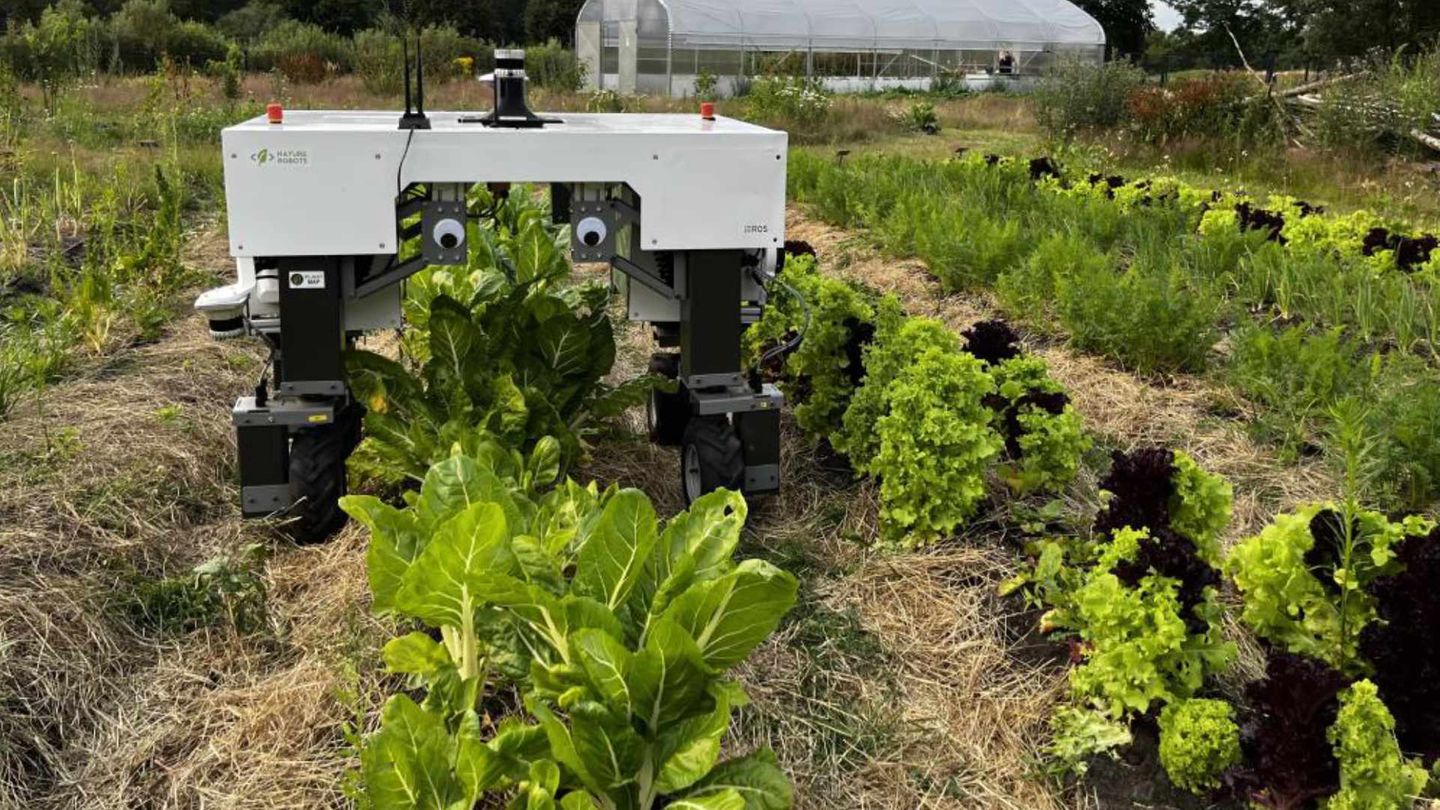 Nature Robots: Ernte ohne Bauer  Auch das Startup Nature Robots hat seine Wurzeln in der Forschung. Es ist eine Ausgründung des Deutschen Forschungszentrums für Künstliche Intelligenz (DFKI). Mit Nature Robots können Landwirte ihre Ernte-, Dünge- und Saatmaschinen in autonome Roboter verwandeln. Die Technik geht über die schon länger verwendete Automatisierung mit GPS hinaus. Nature Robots können auch ohne GPS ihre Arbeit verrichten. Grundlage ist eine sehr genaue Karte des zu bestellenden Ackers, inklusive Höhendaten im Zentimeterbereich sowie Hindernisse wie Hecken, Knicks oder Gebäude.  Der Standort Osnabrück ist für Nature Robots perfekt, da hier die weltweit führenden Landmaschinenhersteller wie Claas, Krone und Lemken ihre Maschinen entwickeln. Zwar können auch alte Traktoren in einen Nature Robot umgebaut werden, das Hauptaugenmerk liegt jedoch auf der Integration in neue Systeme