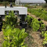 Nature Robots: Ernte ohne Bauer  Auch das Startup Nature Robots hat seine Wurzeln in der Forschung. Es ist eine Ausgründung des Deutschen Forschungszentrums für Künstliche Intelligenz (DFKI). Mit Nature Robots können Landwirte ihre Ernte-, Dünge- und Saatmaschinen in autonome Roboter verwandeln. Die Technik geht über die schon länger verwendete Automatisierung mit GPS hinaus. Nature Robots können auch ohne GPS ihre Arbeit verrichten. Grundlage ist eine sehr genaue Karte des zu bestellenden Ackers, inklusive Höhendaten im Zentimeterbereich sowie Hindernisse wie Hecken, Knicks oder Gebäude.  Der Standort Osnabrück ist für Nature Robots perfekt, da hier die weltweit führenden Landmaschinenhersteller wie Claas, Krone und Lemken ihre Maschinen entwickeln. Zwar können auch alte Traktoren in einen Nature Robot umgebaut werden, das Hauptaugenmerk liegt jedoch auf der Integration in neue Systeme