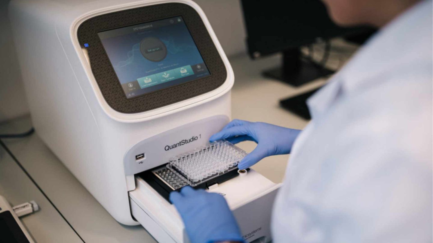 CanChip: Krebsforschung ohne Tierleid  Krebs, die wohl am meisten gefürchtete Krankheit, weil sie wahllos jeden Menschen treffen kann. Dabei ist Krebs ungefähr so unspezifisch wie das Wort Auto für alles, was vier Räder hat. Es gibt zig verschiedene Tumorarten, und jeder Krebs verlangt nach einer spezifischen Behandlung. Dafür benötigt die Krebsforschung reproduzierbare Testumgebungen. In diesen Umgebungen wird das Verhalten von Tumoren bei der Zugabe von Medikamenten beobachtet. Noch heute sind das häufig Tiere. Das deutsche Startup CanChip bietet eine Alternative: auf einem Chip aufgebrachtes künstliches Gewebe samt Blutbahnen, auf dem Tumore wachsen und die Wirkung von Medikamenten getestet werden kann. Ganz ohne Tierversuche