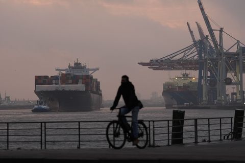 Ein Containerschiff wird zum Terminal Tollerort im Hamburger Hafen geschleppt. (Archivbild) Foto: Marcus Brandt/dpa