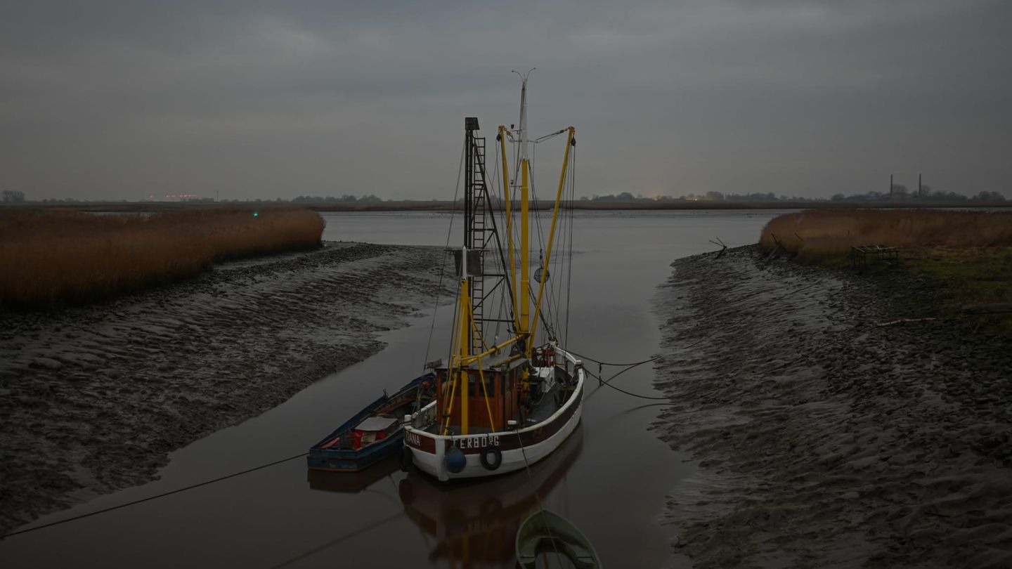 Terborg, Deutschland. in einem Seitenarm der Ems in Niedersachsen wartet der Kutter "Diana" auf die nächste Ausfahrt. Wer auch immer dann an Bord ist, sollte sich angesichts der winterlichen Temperaturen warm anziehen