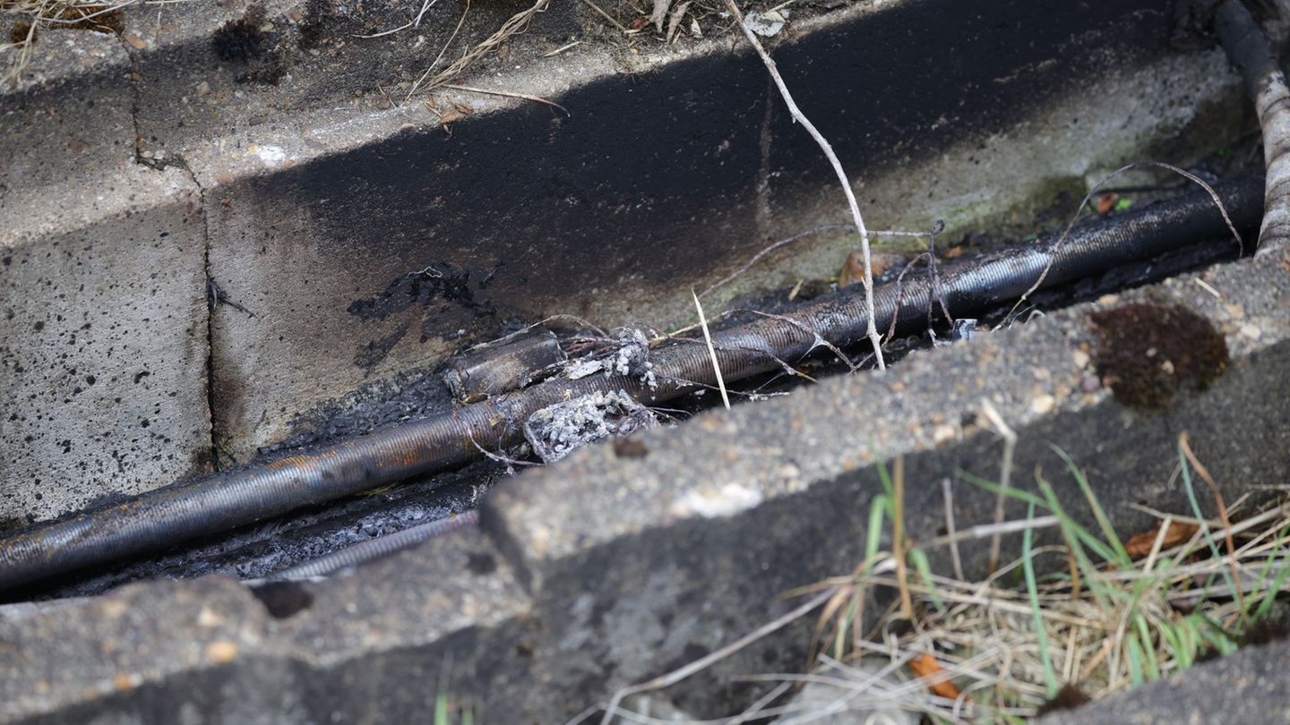 Immer wieder verüben Unbekannte Anschläge auf Bahnstrecken. (Archivfoto) Foto: Christoph Reichwein/dpa