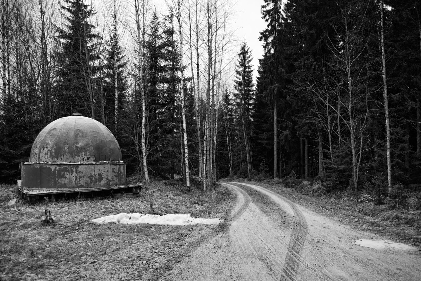 Ein Waldweg in Finnland, an dessen Straßenrand ein kugelförmiges Observatorium steht