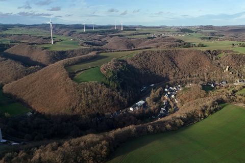 Die Leiche wurde in einem Waldstück bei Monreal entdeckt. (Archivbild) Foto: Sascha Ditscher/dpa