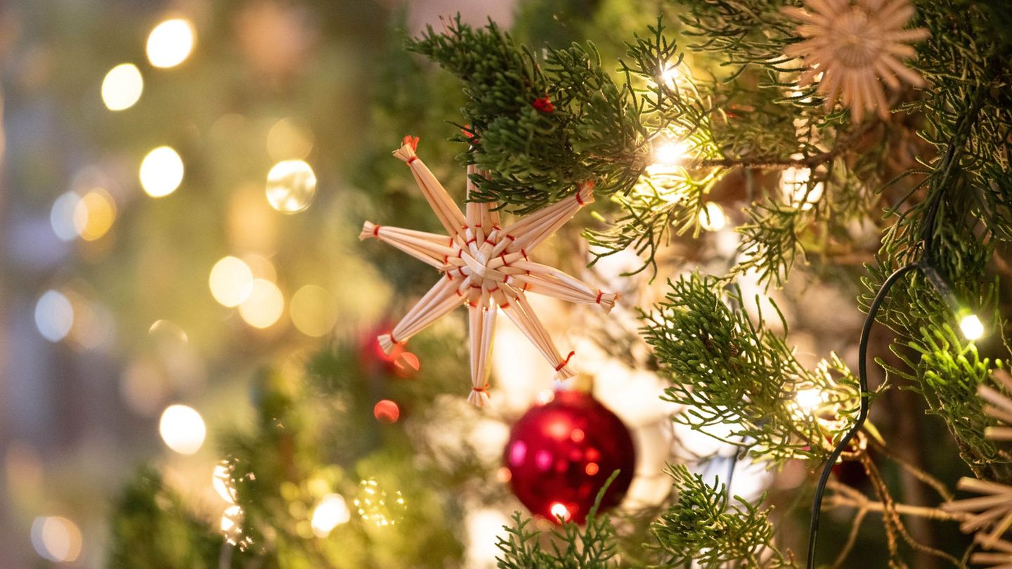 Auf dem Weihnachtsmarkt in Erbach wurde unter anderem Deko zerstört. (Symbolbild) Foto: Sebastian Kahnert/dpa