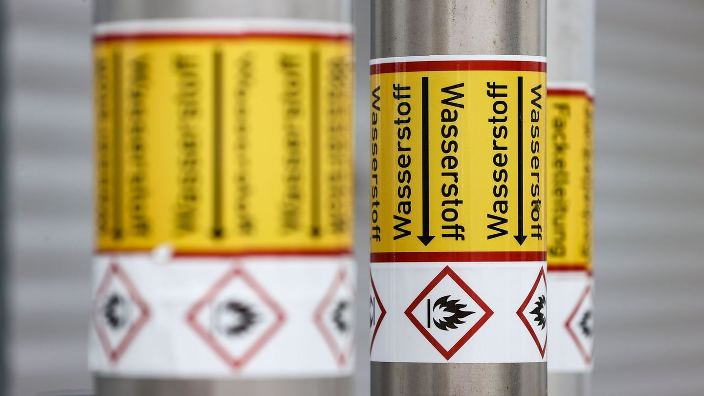 Wasserstoffwirtschaft muss schneller hochfahren, fordert die Energieministerkonferenz bei ihrer Herbsttagung. (Symbolbild) Foto: