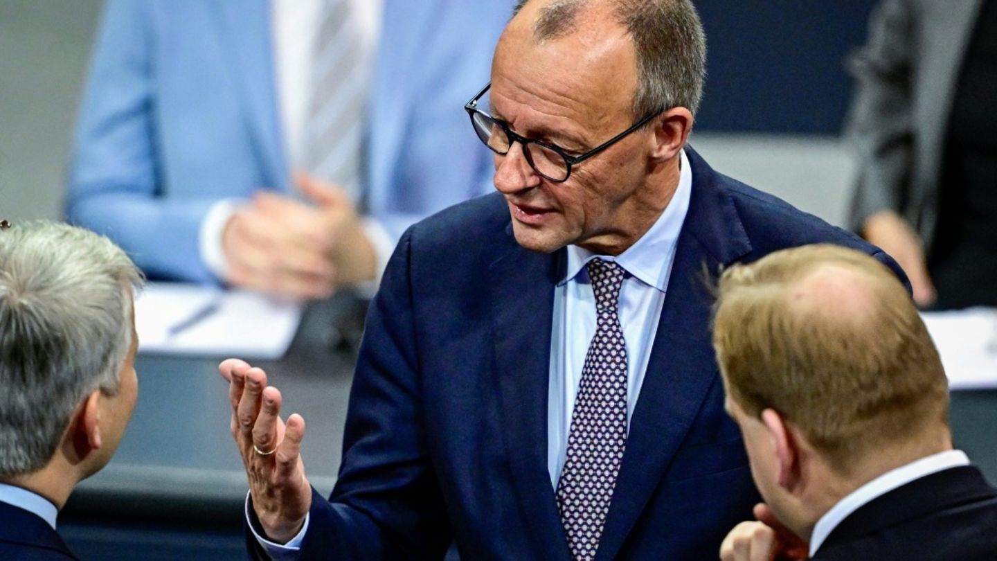 Merz am Freitag im Bundestag