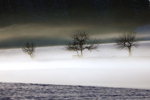 Mild und trüb soll es in Bayern am Wochenende werden. (Symbolbild) Foto: Karl-Josef Hildenbrand/dpa