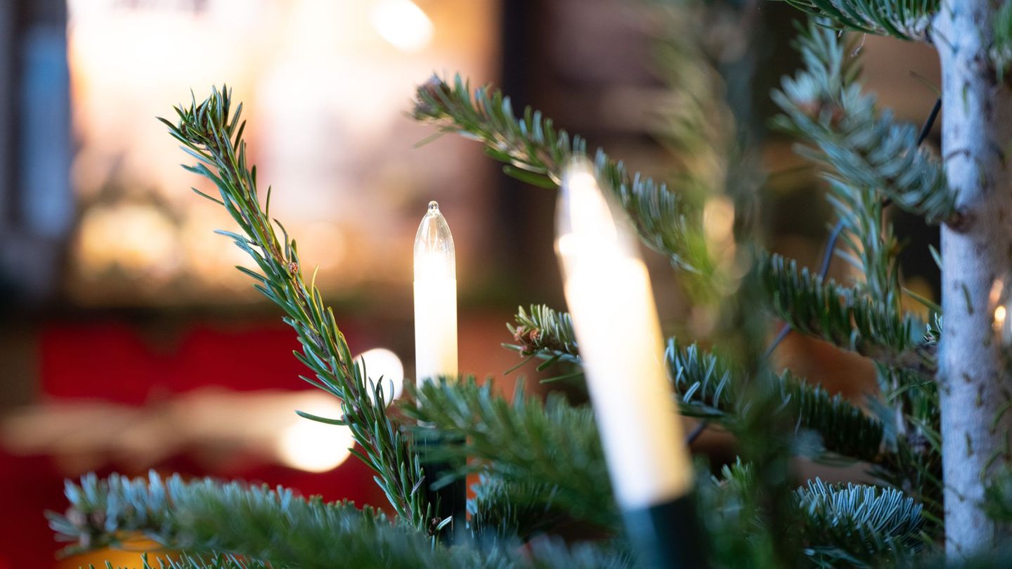 Die Weihnachtsbaum-Diebe werden von einem Sicherheitsmitarbeiter entdeckt. (Symbolbild) Foto: Sebastian Kahnert/dpa
