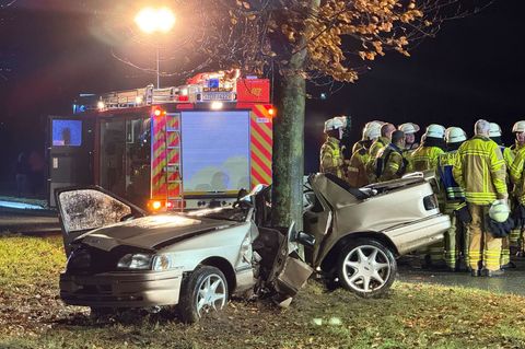Zuerst fuhr der Mann gegen den Bordstein, dann prallte er gegen den Baum. Foto: -/dpa