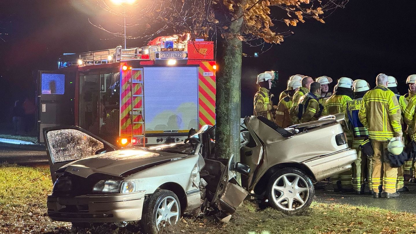 Zuerst fuhr der Mann gegen den Bordstein, dann prallte er gegen den Baum. Foto: -/dpa