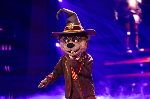 Ausgezaubert für Harry Otter: Clemens Schick ist in der Musikshow "The Masked Singer" enttarnt worden. (Archivbild) Foto: Rolf V
