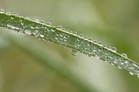 In Baden-Württemberg wird es am Wochenende vor allem regnerisch. (Symbolbild) Foto: Silas Stein/dpa
