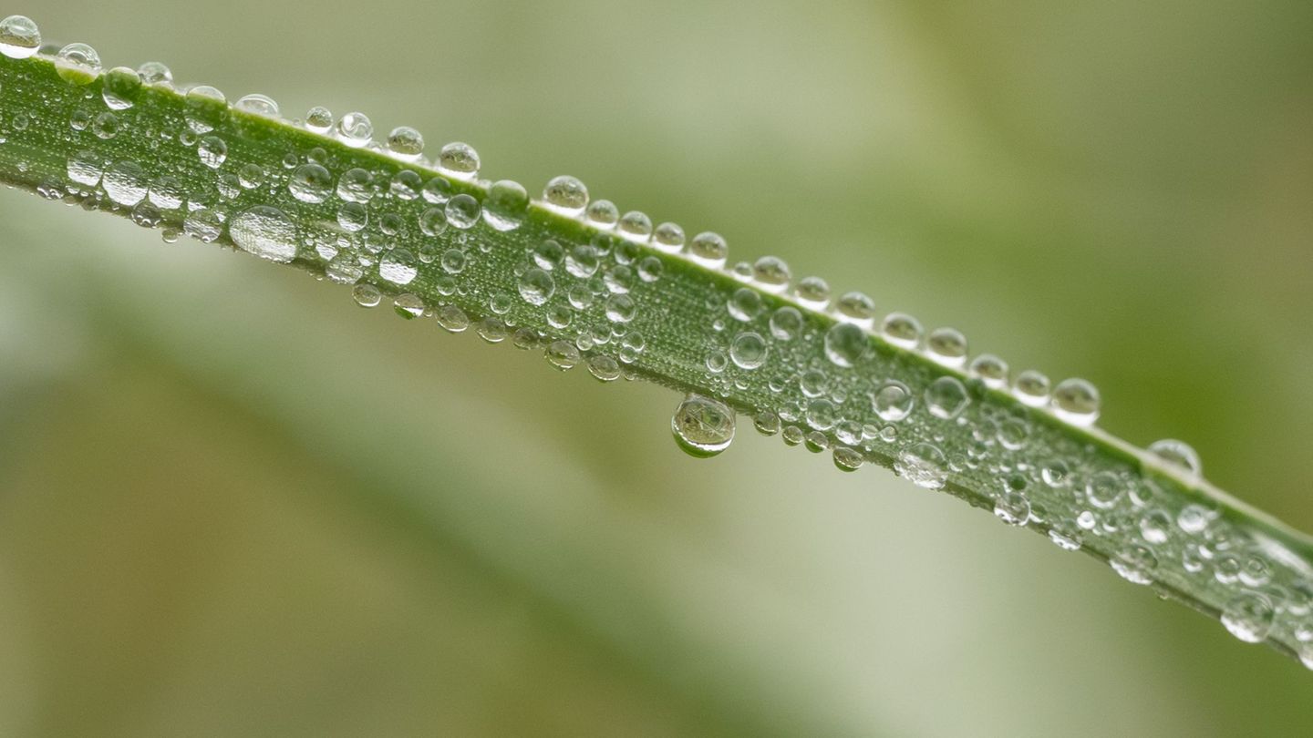 In Baden-Württemberg wird es am Wochenende vor allem regnerisch. (Symbolbild) Foto: Silas Stein/dpa
