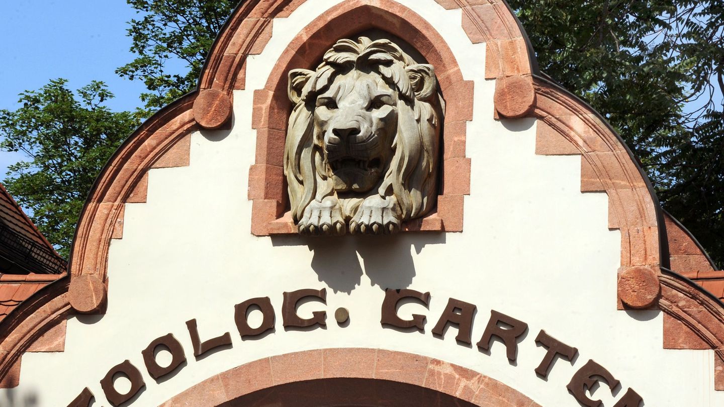 Tierpark-Vogelgrippe-Verdacht-im-Zoo-Leipzig-Anlagen-gesperrt