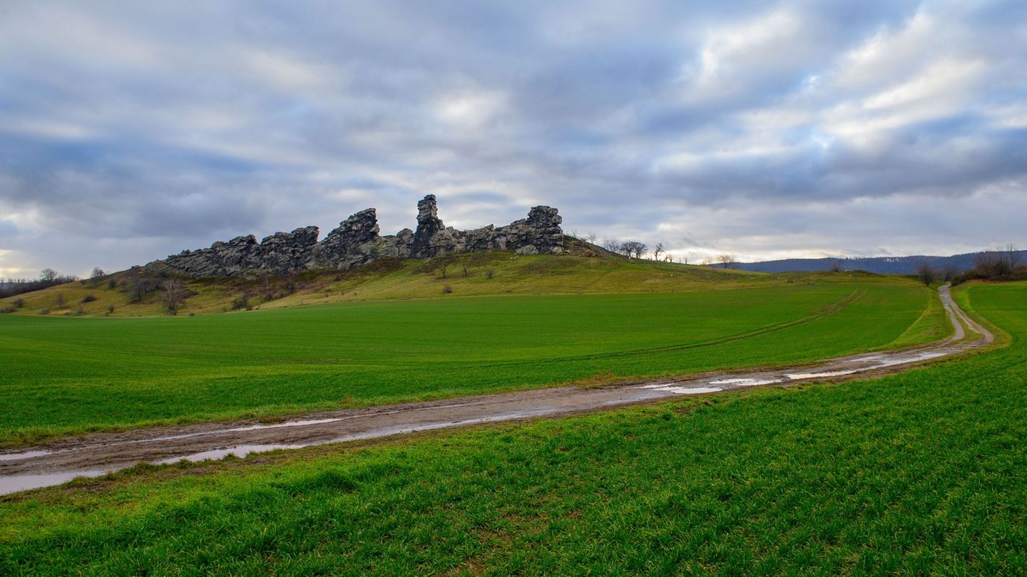 In Sachsen-Anhalt wird es außergewöhnlich mild. (Archivbild) Foto: Klaus-Dietmar Gabbert/dpa