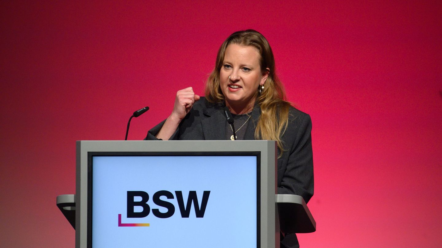 Friederike Benda ist die Landesvorsitzende des BSW in Brandenburg. Foto: Klaus-Dietmar Gabbert/dpa
