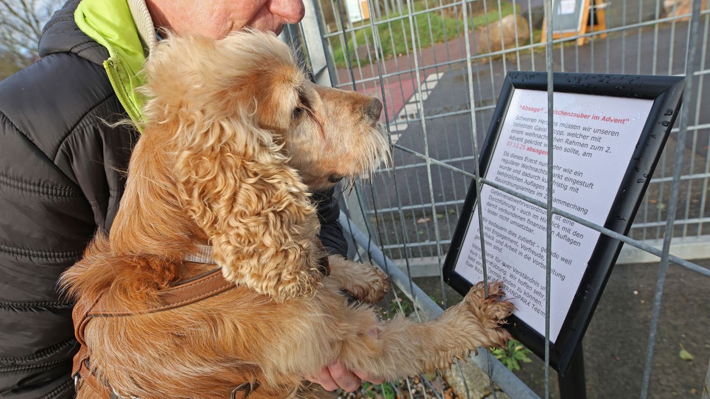 Der erstmals geplante Hunde-Weihnachtsmarkt am Neustädter See ist kurzfristig abgesagt worden Foto: Matthias Bein/dpa