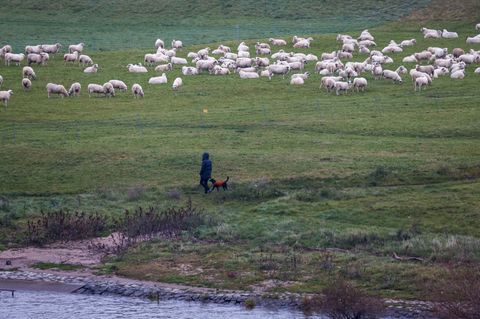 Das Wetter bleibt die nächsten Tage mit bis zu 16 Grad ungewöhnlich mild. Foto: Thomas Banneyer/dpa