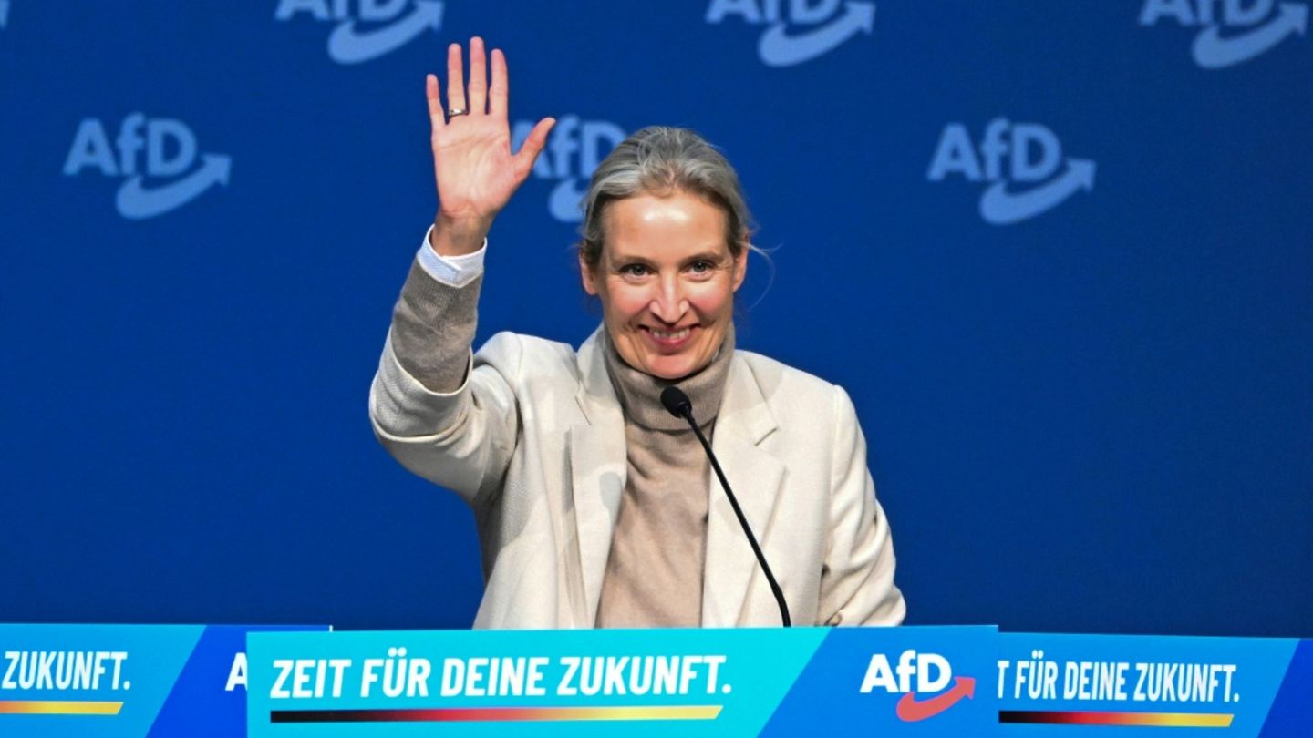Alice Weidel