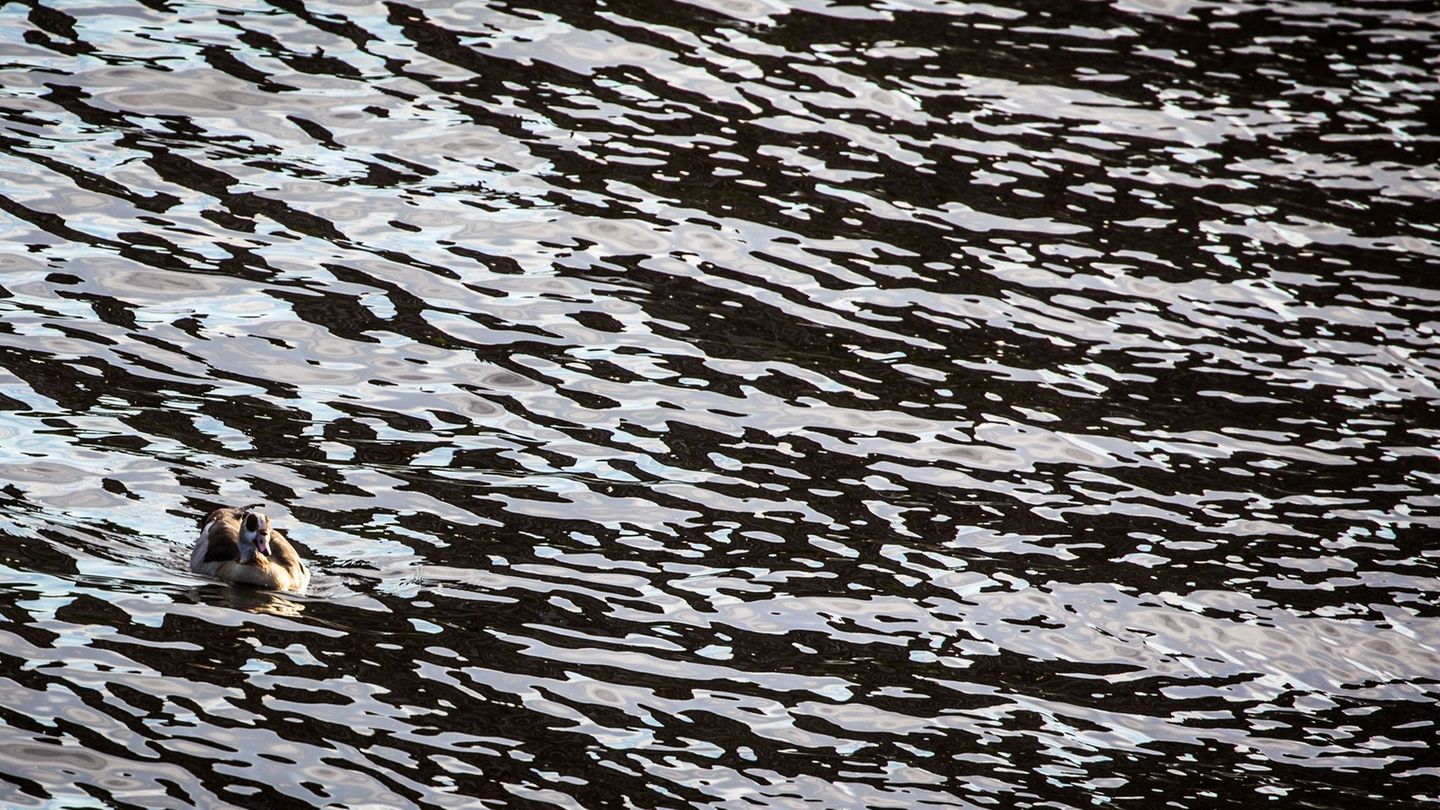 Auf dem Main in Unterfranken gab es eine Havarie, bei der Dieselkraftstoff ins Wasser gelaufen ist. (Symbolbild) Foto: picture a