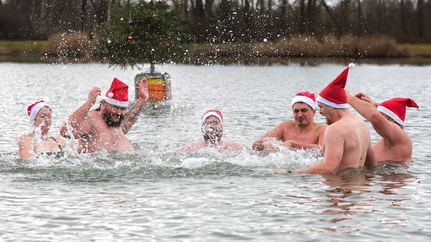 Ertingen, Baden-Württemberg. Männer und eine Frau mit Nikolausmützen baden bei einstelligen Temperaturen im Schwarzachtalsee. Im Hintergrund schwimmt passend dazu ein Weihnachtsbaum auf einer Boje