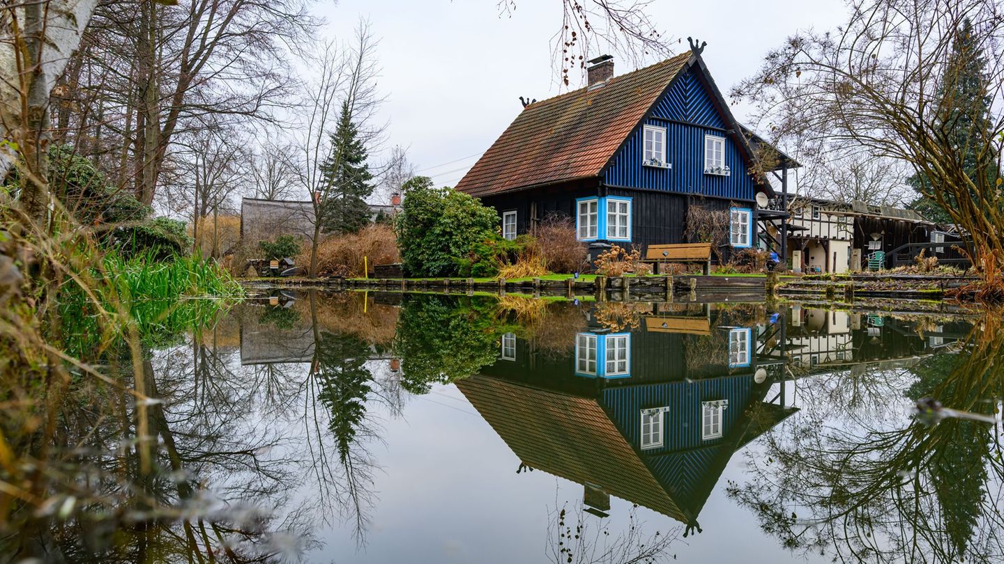 Der DWD erwartet Regen zum Wochenstart in Berlin und Brandenburg. (Archivbild) Foto: Patrick Pleul/dpa/ZB