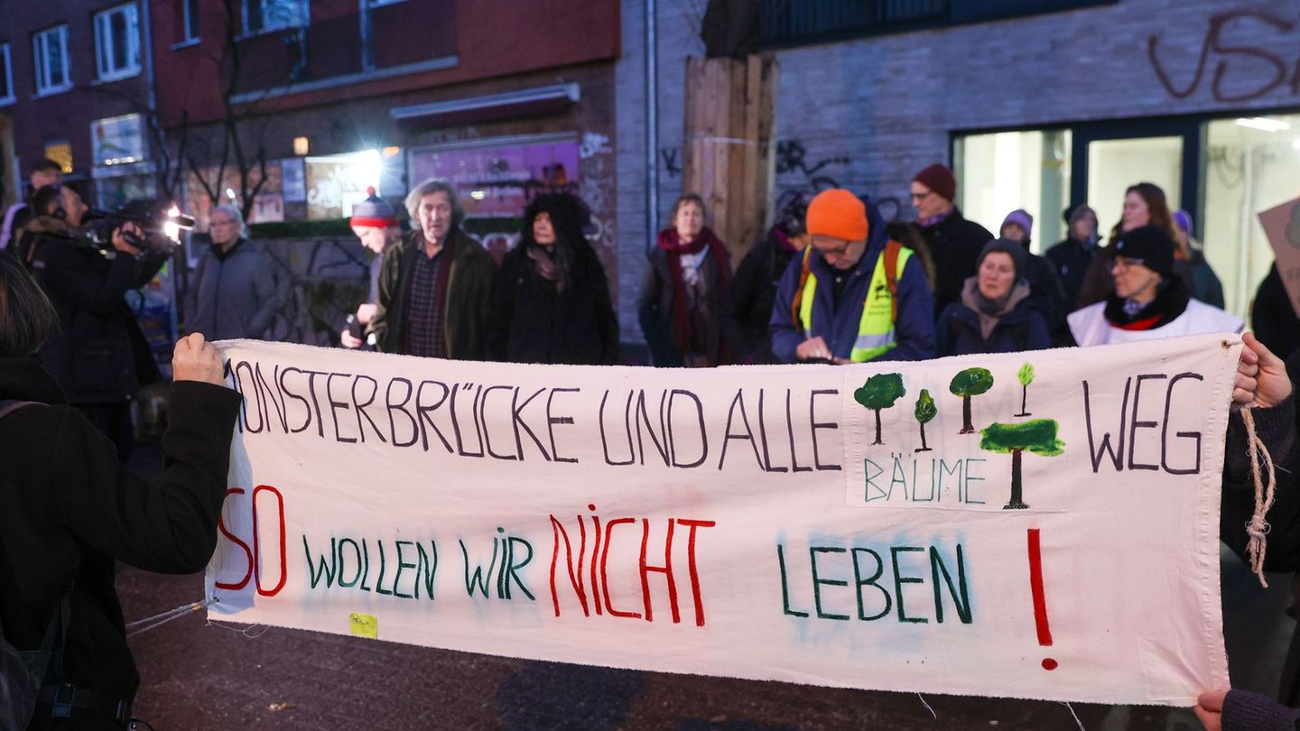 Dutzende Demonstranten protestieren gegen die Fällung von 37 Bäumen für den Neubau der Sternbrücke. Foto: Bodo Marks/dpa