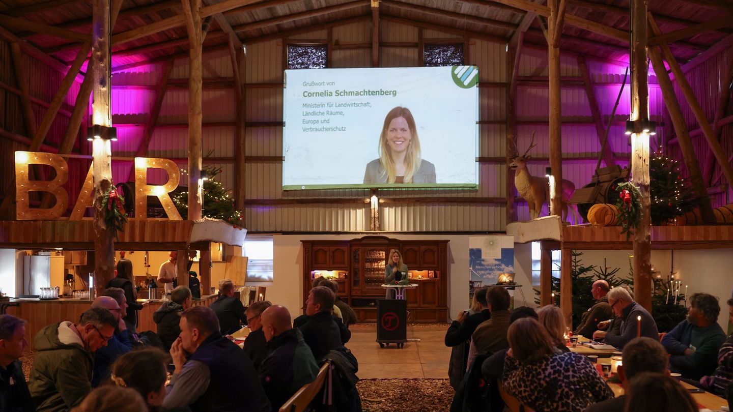 Mit Geld der EU werden fünf Projekte für die Zukunft der Landwirtschaft in Schleswig-Holstein gefördert. Foto: Christian Charisi