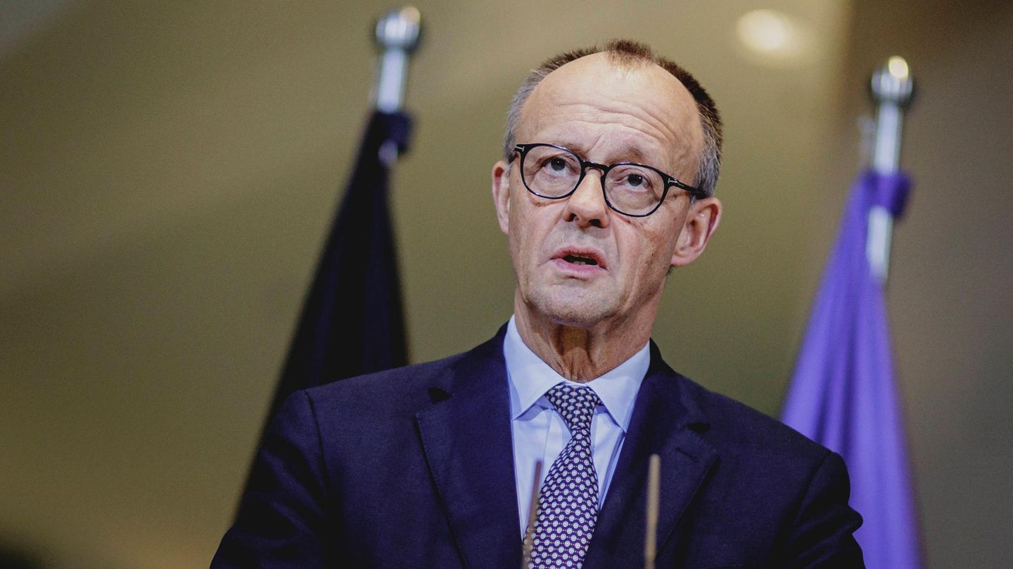 Friedrich Merz am Rednerpult