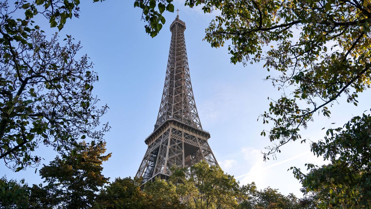 Zum Fahrplanwechsel der Deutschen Bahn am 14. Dezember werden erstmals ICEs direkt über Halle und Erfurt in die französische Hau