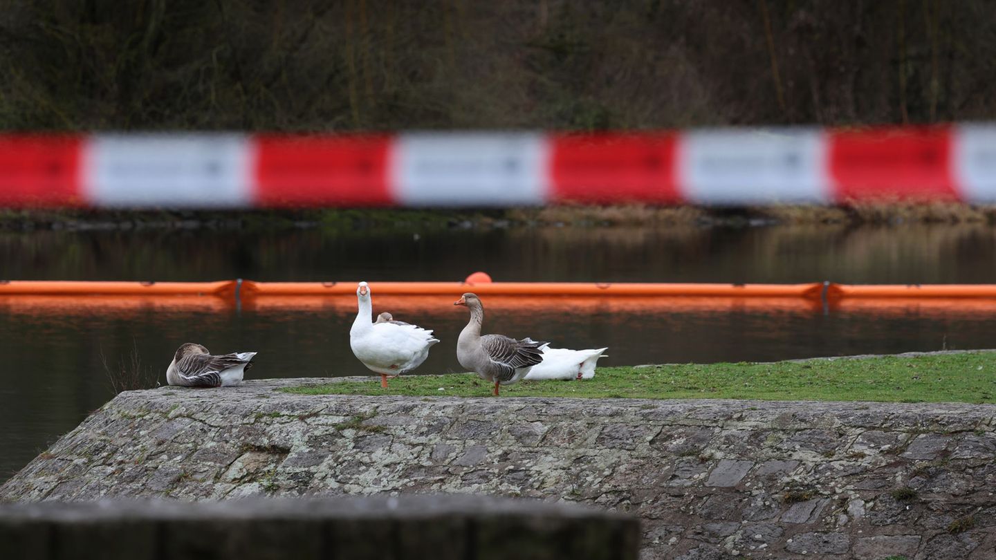 Ölsperren sollen verhindern, dass sich der Kraftstoff weiter ausbreitet. Foto: Karl-Josef Hildenbrand/dpa