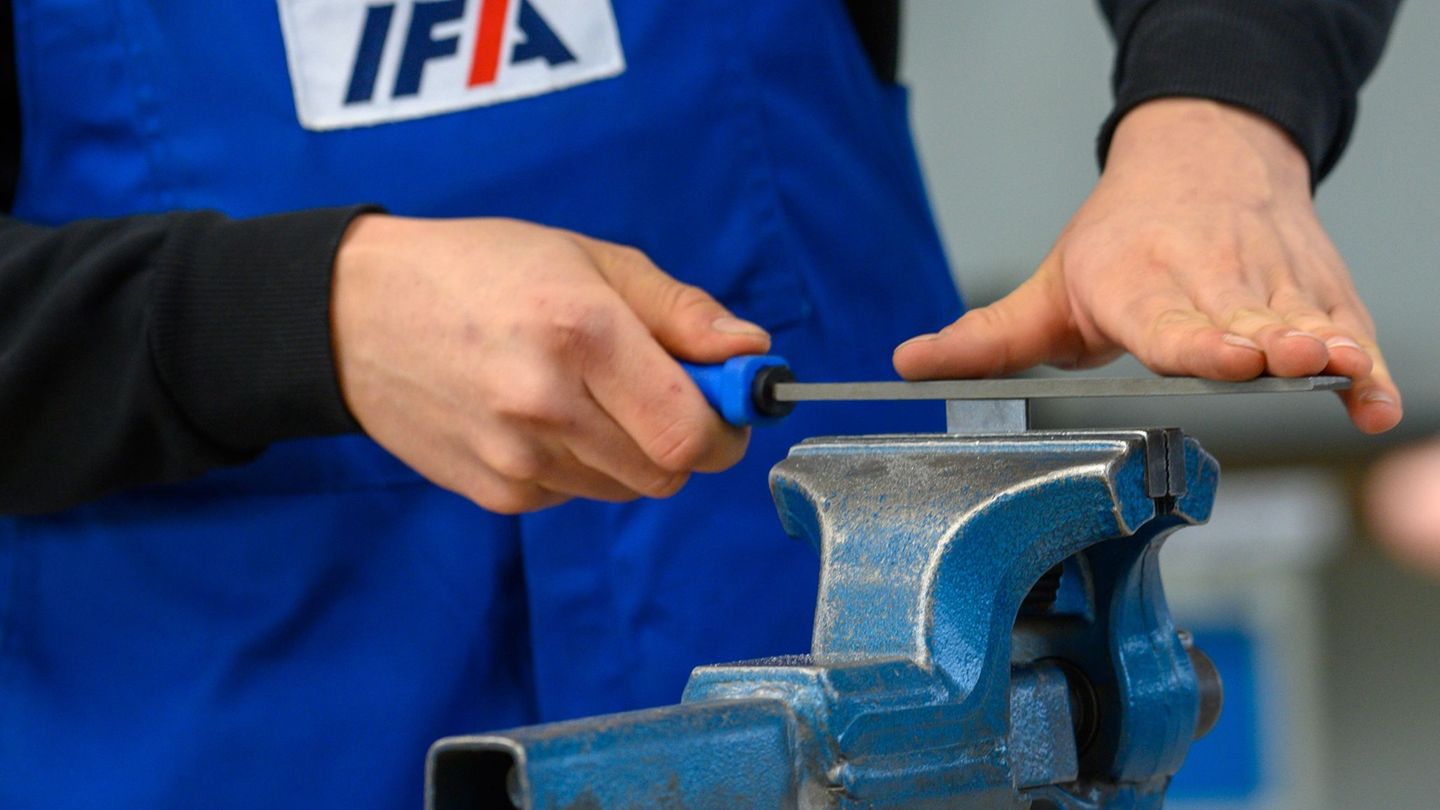 Ifa in Haldensleben zählt zu den führenden Automobilzulieferern. (Archivbild) Foto: Klaus-Dietmar Gabbert/dpa