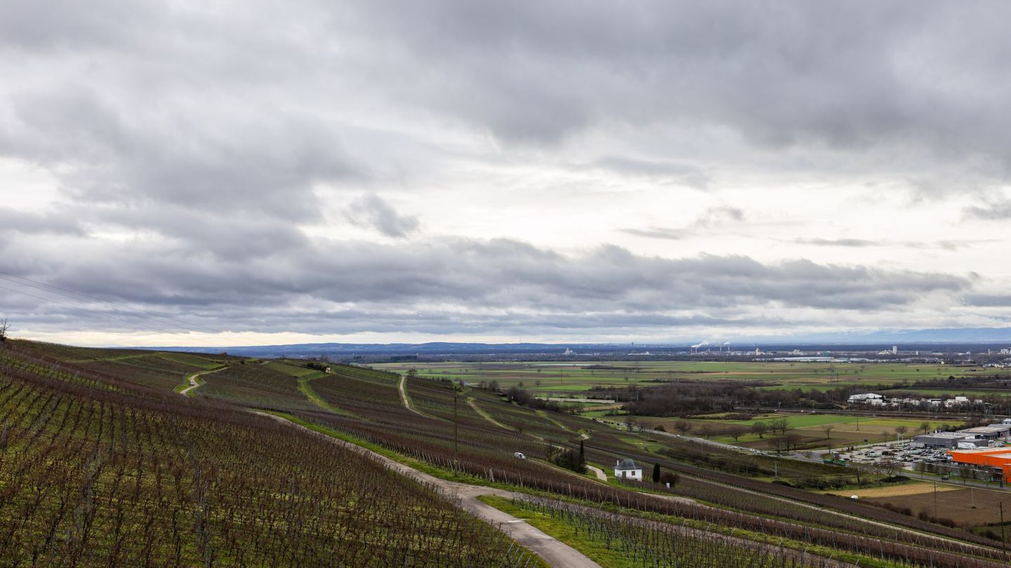Es wird ungewöhnlich warm im Advent. Foto: Philipp von Ditfurth/dpa